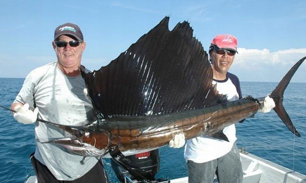 Pic: Mick Fletoridis